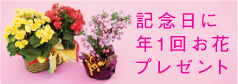 特典2イメージ写真