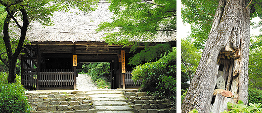 左／仁王門の写真 右／阿弥陀寺の仏様やお地蔵さまの写真