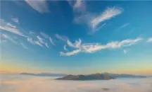画像：壁紙ダウンロード