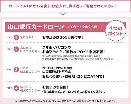 マイカードやまぐち君の特徴のイメージ