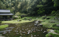 6月には睡蓮が咲き誇る「善生寺」の庭園