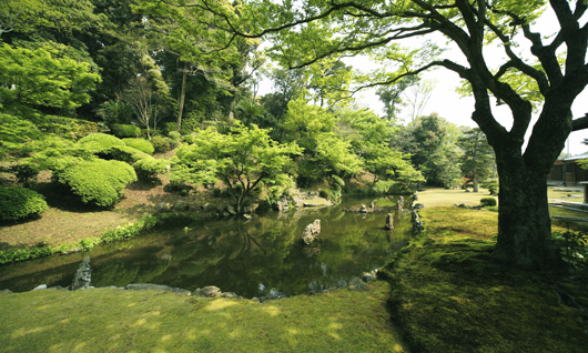 宗隣寺「龍心庭」